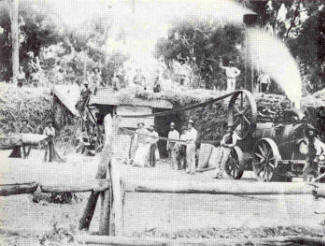 Early Threshing at G Oakes (Neighbour)