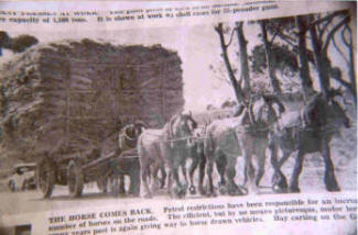 Horse Team making a comeback (Fuel Costs)