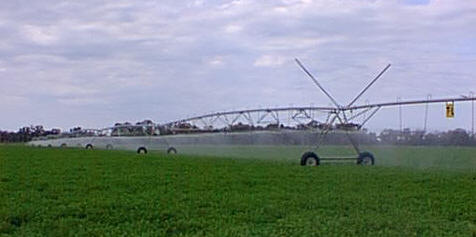 Linear Spray irrigator